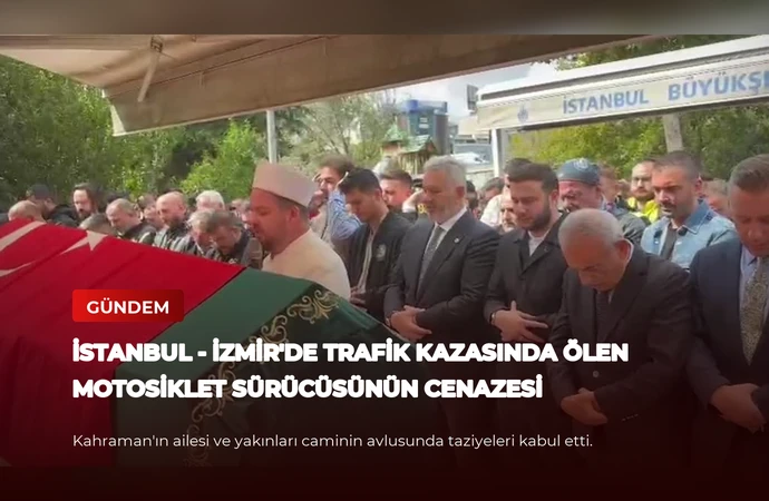 news card 49d971bb3d273869