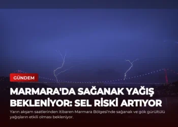 news card 4dcf29bafa8a202b