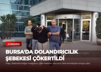 news card 51c85a5fa093f42a