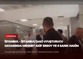 news card 5340f27680524db2