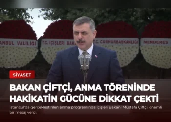 news card 536064bd24efcce5