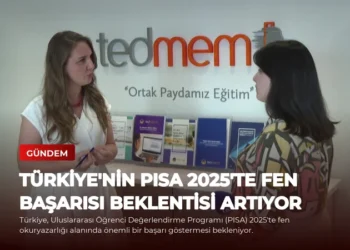 news card 55b6c1185785c162