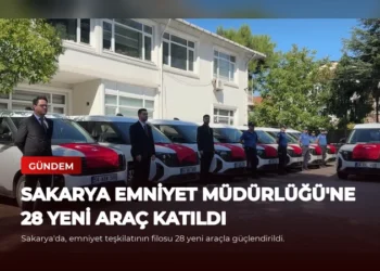 news card 589e99e64577027a