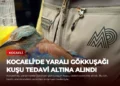news card 5b7b588a4bf1433d