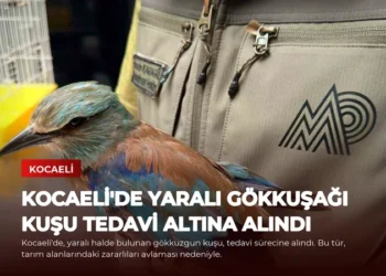 news card 5b7b588a4bf1433d