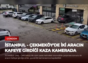 news card 604e1f50447441a0