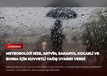 news card 624072cc1e5ccabd