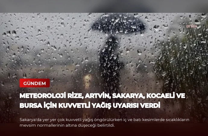 news card 624072cc1e5ccabd