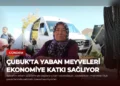 news card 62e78d0ed4001880