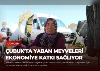 news card 62e78d0ed4001880