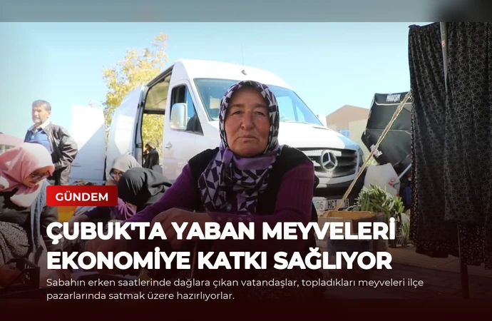 news card 62e78d0ed4001880