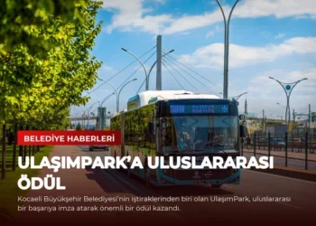 news card 6345e3c076f0d3e4