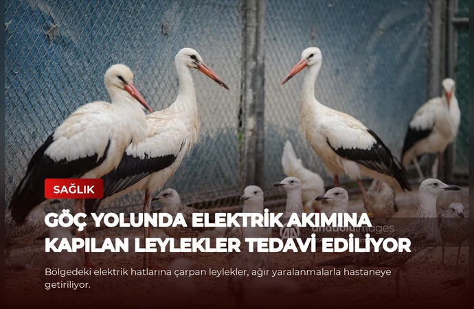 news card 64ae78490b4e1ee9