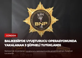news card 671df10b19a29194