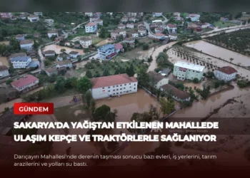 news card 673b35827df94c22