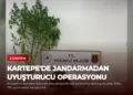 news card 68b8104bbd828ee0