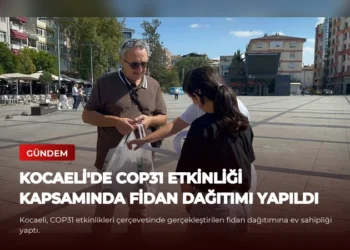 news card 6f3cb2a747333e7b