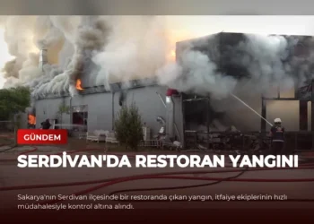 news card 6f87a68cb146d02f