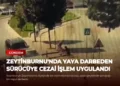 news card 712f51388a773cdd