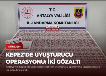news card 75ef4fdc25a92e9e