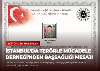 news card 76cb9f09ef262068