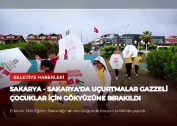 news card 7717076344d2d562
