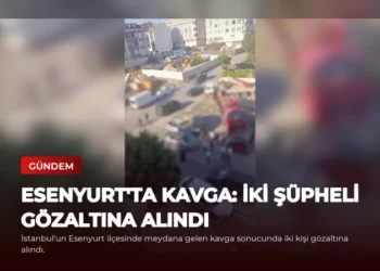 news card 77b2391cebcd2e56