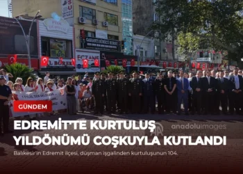 news card 791cfff83302f4ea