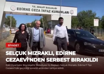 news card 7c4c630d8136553f