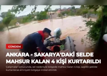news card 7d2a8671bc454082