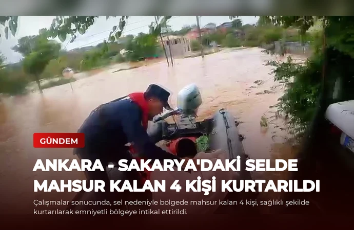 news card 7d2a8671bc454082
