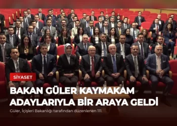 news card 832b3c28860177a5
