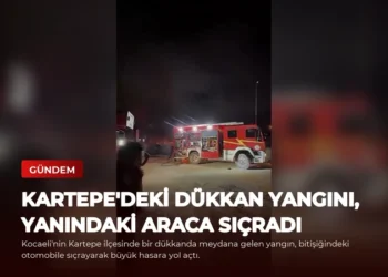 news card 833074c8146e3a79