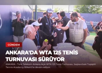 news card 8338f170909846bf
