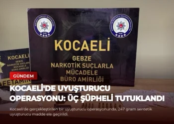 news card 8bc2c732a5fa2d1f