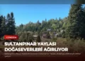 news card 8f6139fce4aaf2f8