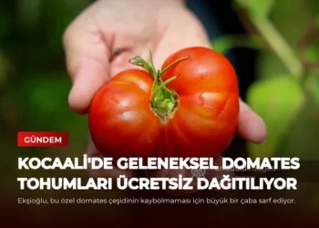 news card 902c71e3f2e649a5