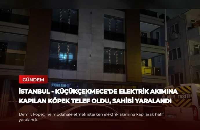 news card 917379aee08c431e
