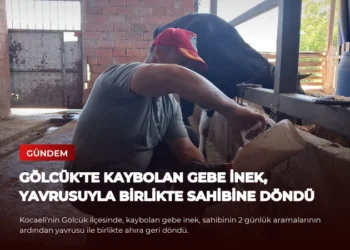 news card 94b379c473241667