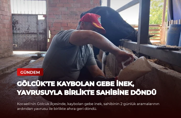news card 94b379c473241667