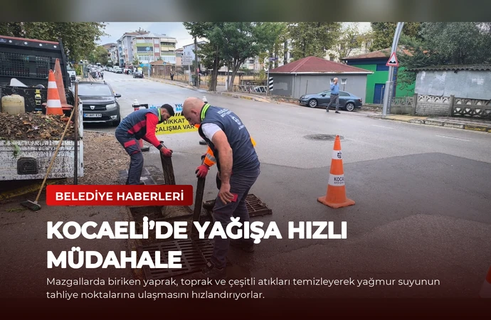 news card 96c9a6f1c05589ff