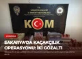 news card 97befe0287d16d1f
