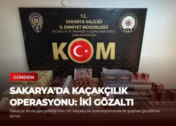 news card 97befe0287d16d1f