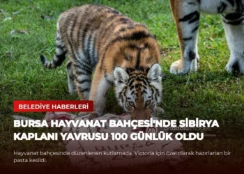 news card 9fc76b6bdb8cf779