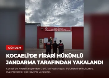 news card af3ad558d55cb022