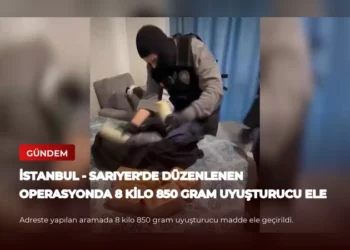 news card b1b365102a567da2