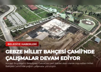 news card b20c53d8394fd0df