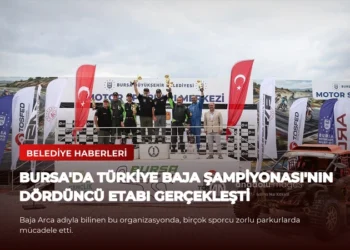 news card b66515675ad66195