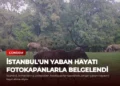 news card b779f23a603626e8