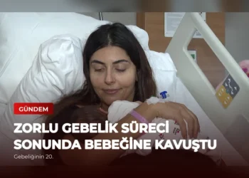 news card b9e84c234cfd4a0b